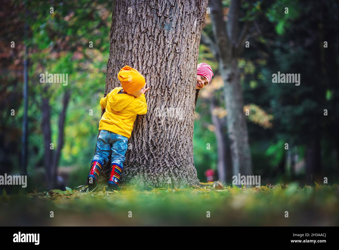 Brother and sister playing in the autumn tree garden Stock Photo - Alamy