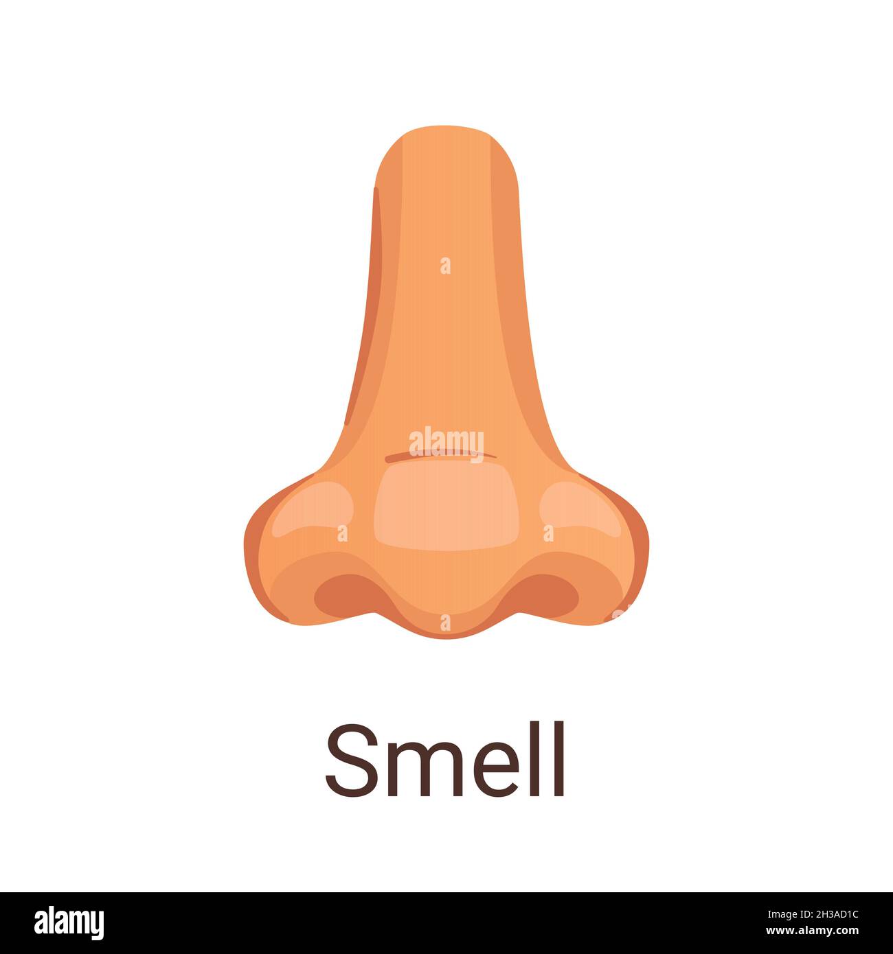 Vector illustration one of five senses - smell. Stock Vector