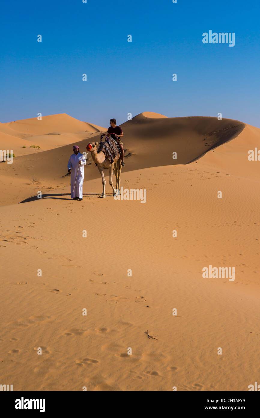 UNITED ARAB EMIRATES, ABU DHABI, AL AIN, REMAH, TELAL RESORT, CAMEL RIDING Stock Photo