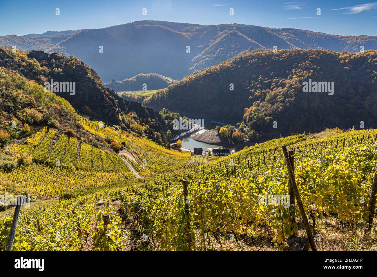 The wine region near Mayschoß (Germany) invites to hikes in autumn ...
