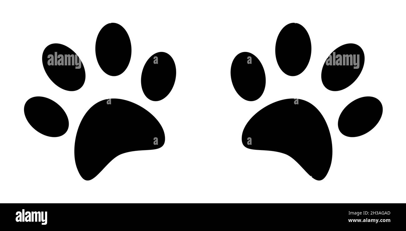 Silhouettes of pads of the cat paws. Animal paw prints on ground