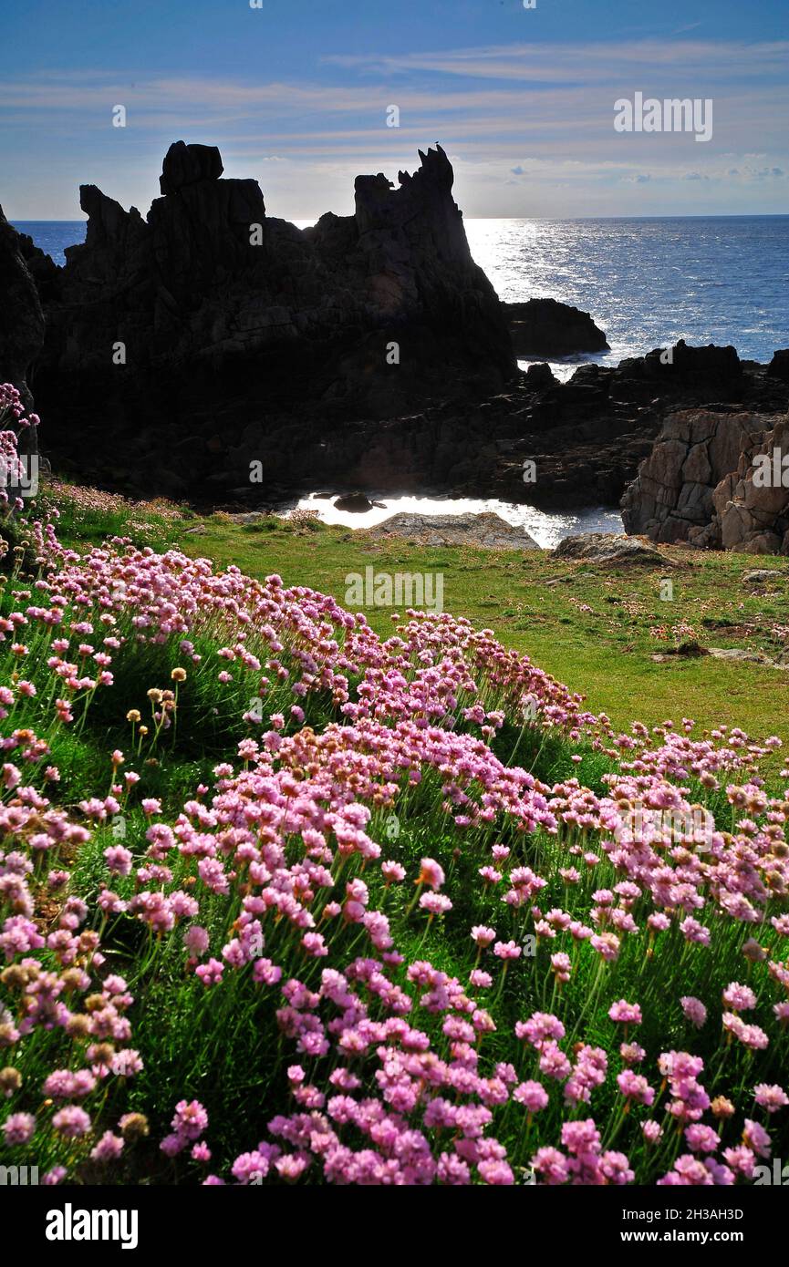 FRANCE. FINISTERE (29) BRITTANY REGION. OUESSAN ISLAND (ILE D'OUESSANT), CLOSE FROM CREAC'H LIGHTHOUSE Stock Photo