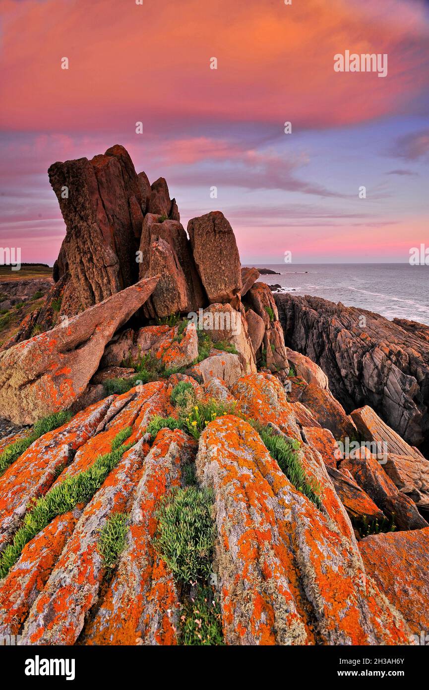 FRANCE. VENDEE (85) YEU ISLAND, TRANCHE COAST (POINTE DE LA TRANCHE) Stock Photo