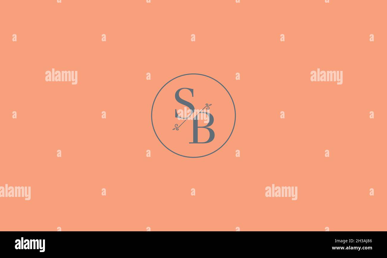 LETTERS SB LOGO DESIGN WITH NEGATIVE SPACE EFFECT FOR ILLUSTRATION USE Stock Vector