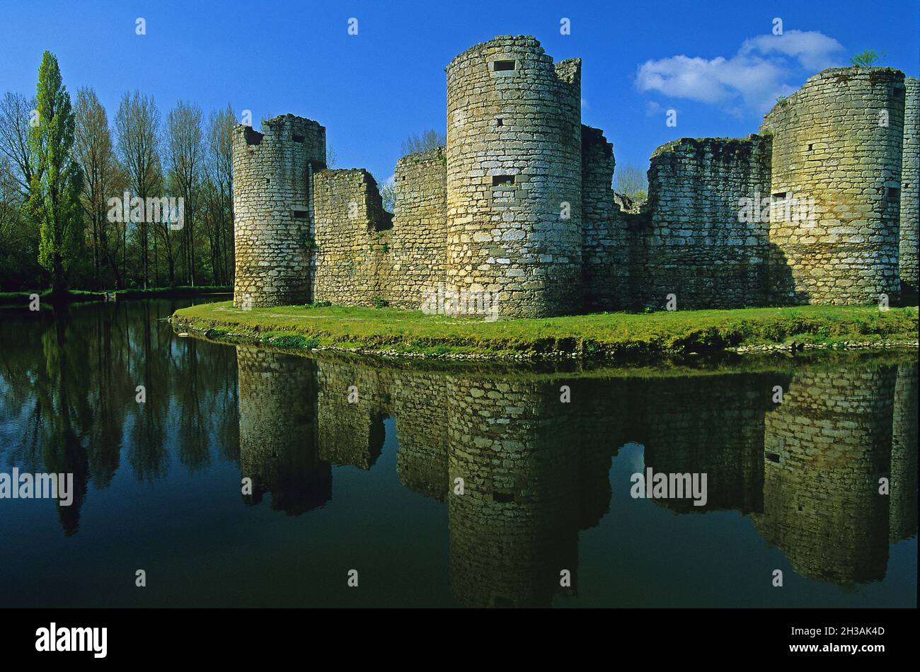 FRANCE. VENDEE (85) THE CASTLE OF COMEQUIER Stock Photo