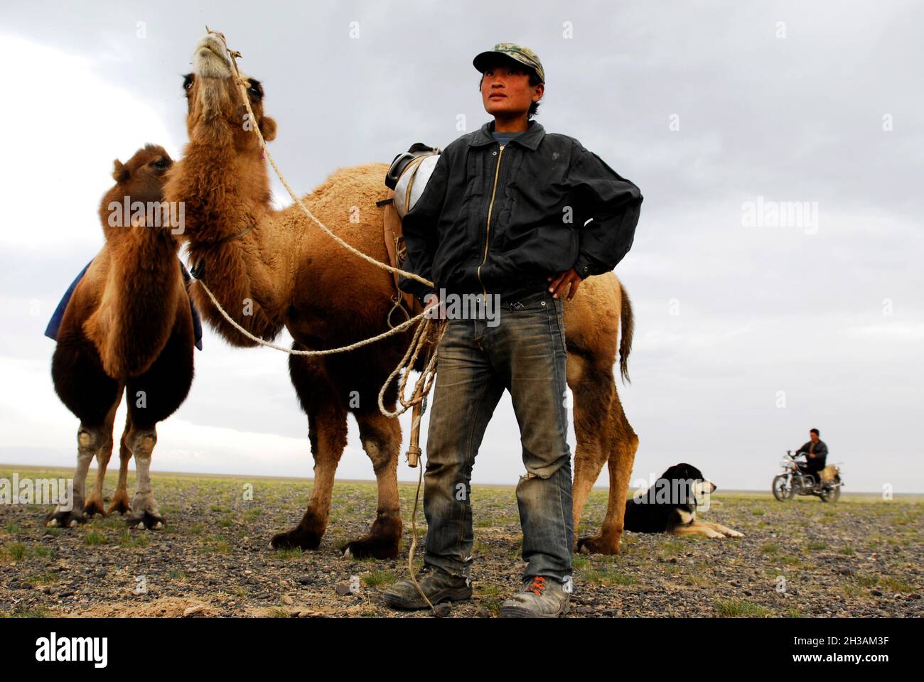 MONGOLIA. NOMAD PEOPLE Stock Photo