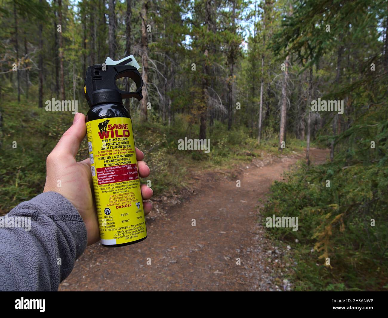 Hiker holding bear spray (Sabre Wild brand) used as bear attack deterrent in forest near Canmore