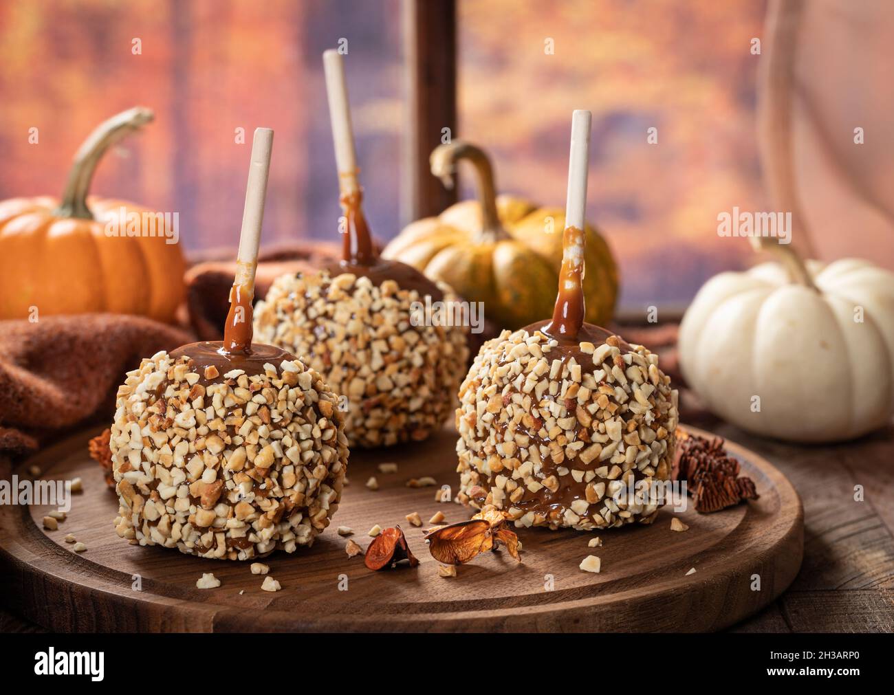 Caramel apples coated with nuts on a wooden platter with autumn background by a window Stock Photo