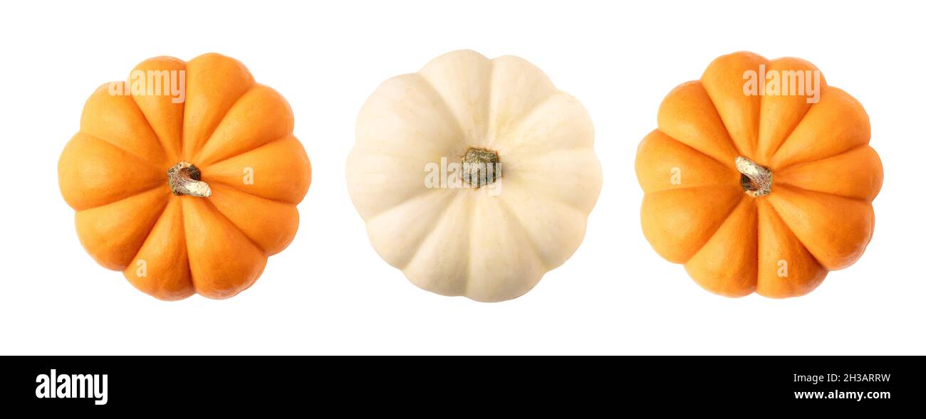Top view of orange and white pumpkins on isolated white background ...