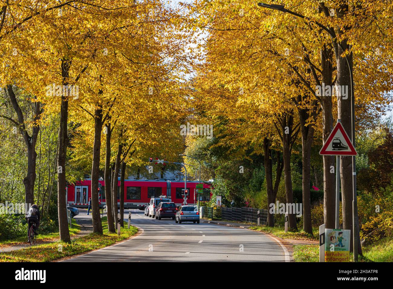 Herbstliche Baumallee in Schleswig-Holstein mit einem Bahnhof mit Bahnübergang Stock Photo