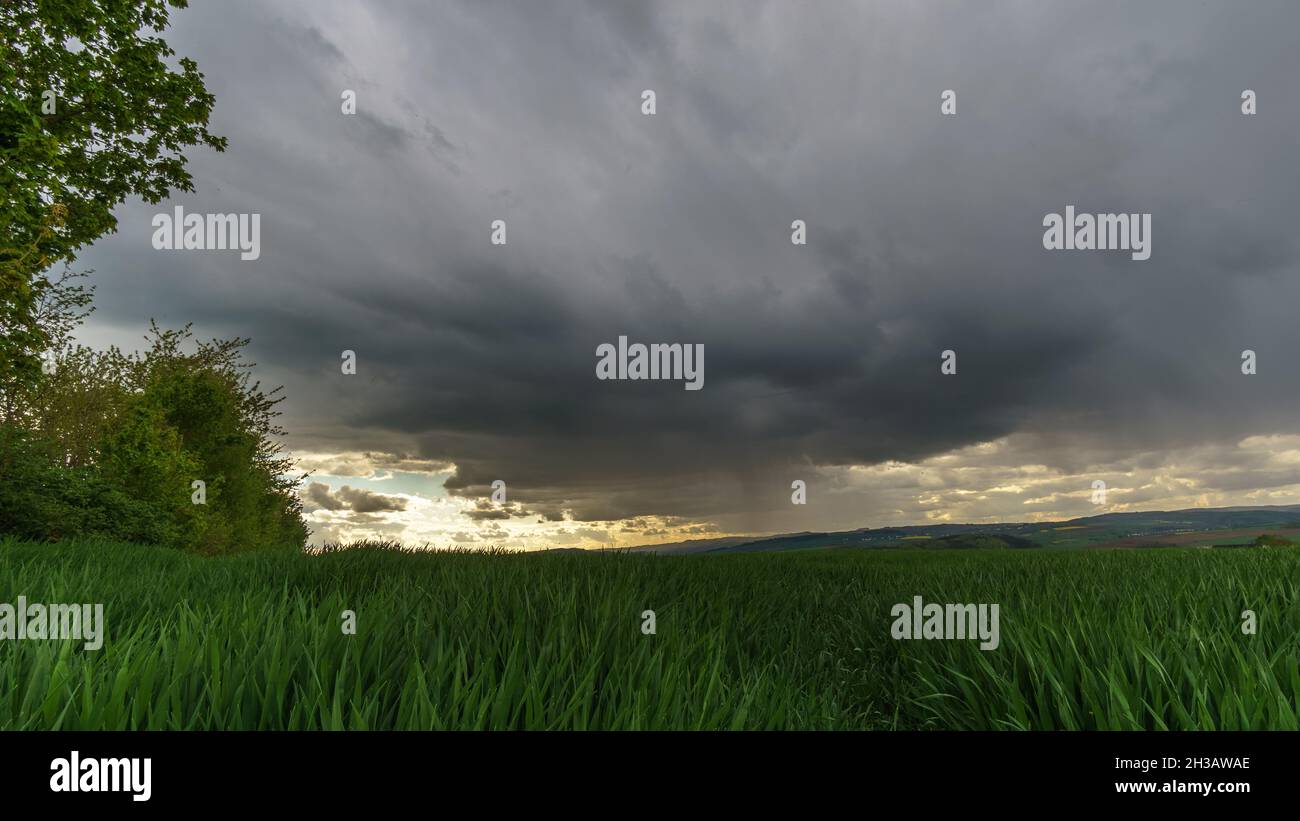 Rain and storm clouds over agricultural corn field, Eifel, Germany Stock Photo