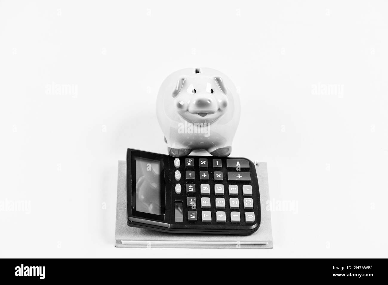 bookkeeping. financial report. moneybox with calculator. Piggy bank