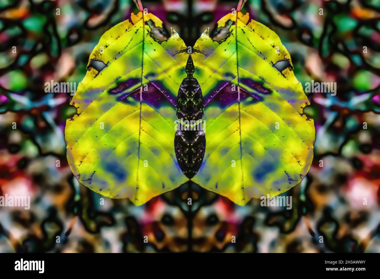 Abstract mirror image inverted Art work Stock Photo