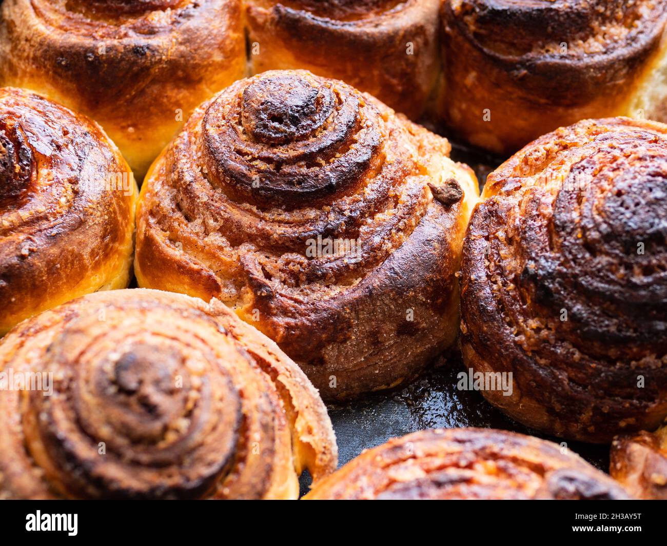 many homemade fresh baked cinnamon buns close up Stock Photo
