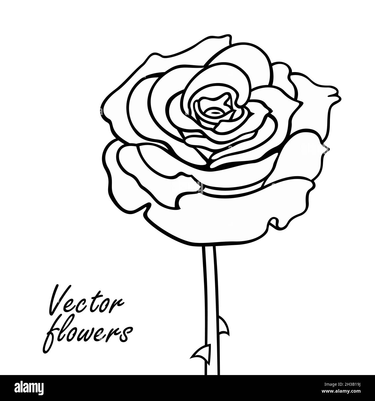 Line Drawing Rose Bitmap Image Rose line art vector hand drawn illustration Stock Vector Image & Art ...