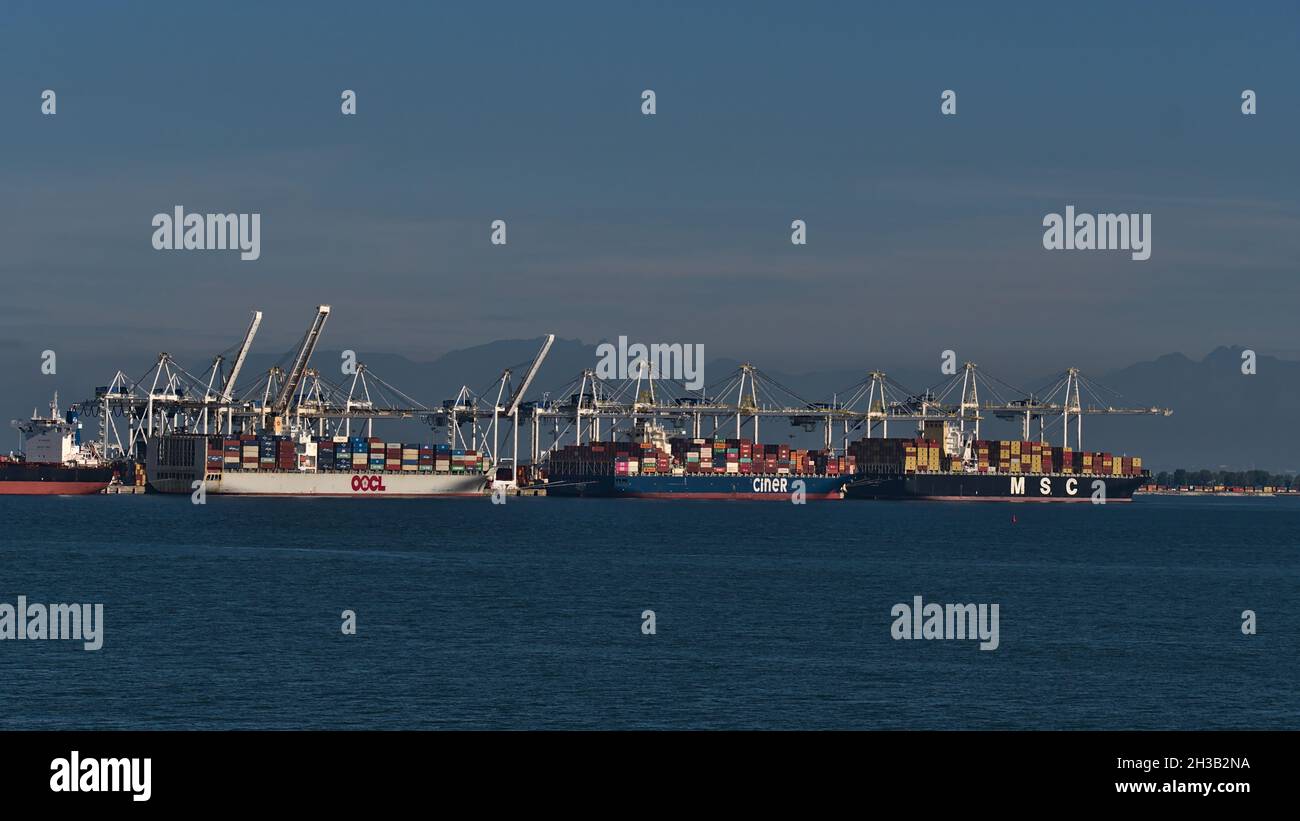 Container terminal of Roberts Bank Superport in the Strait of Georgia part of Vancouver Harbour, with three loading cargo vessels and cranes. Stock Photo