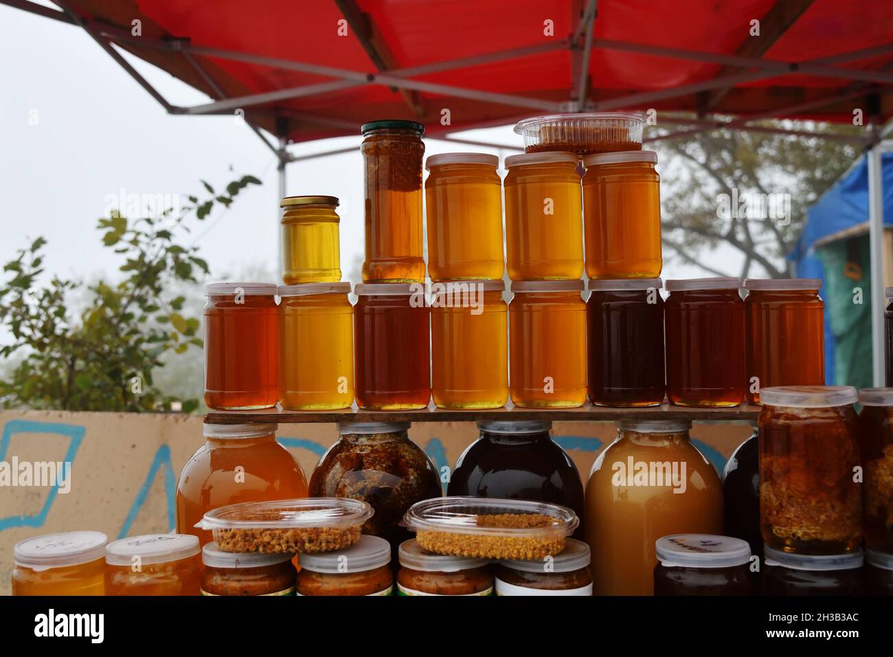 Jars of organic, natural honey on the counter for sale. Different honey