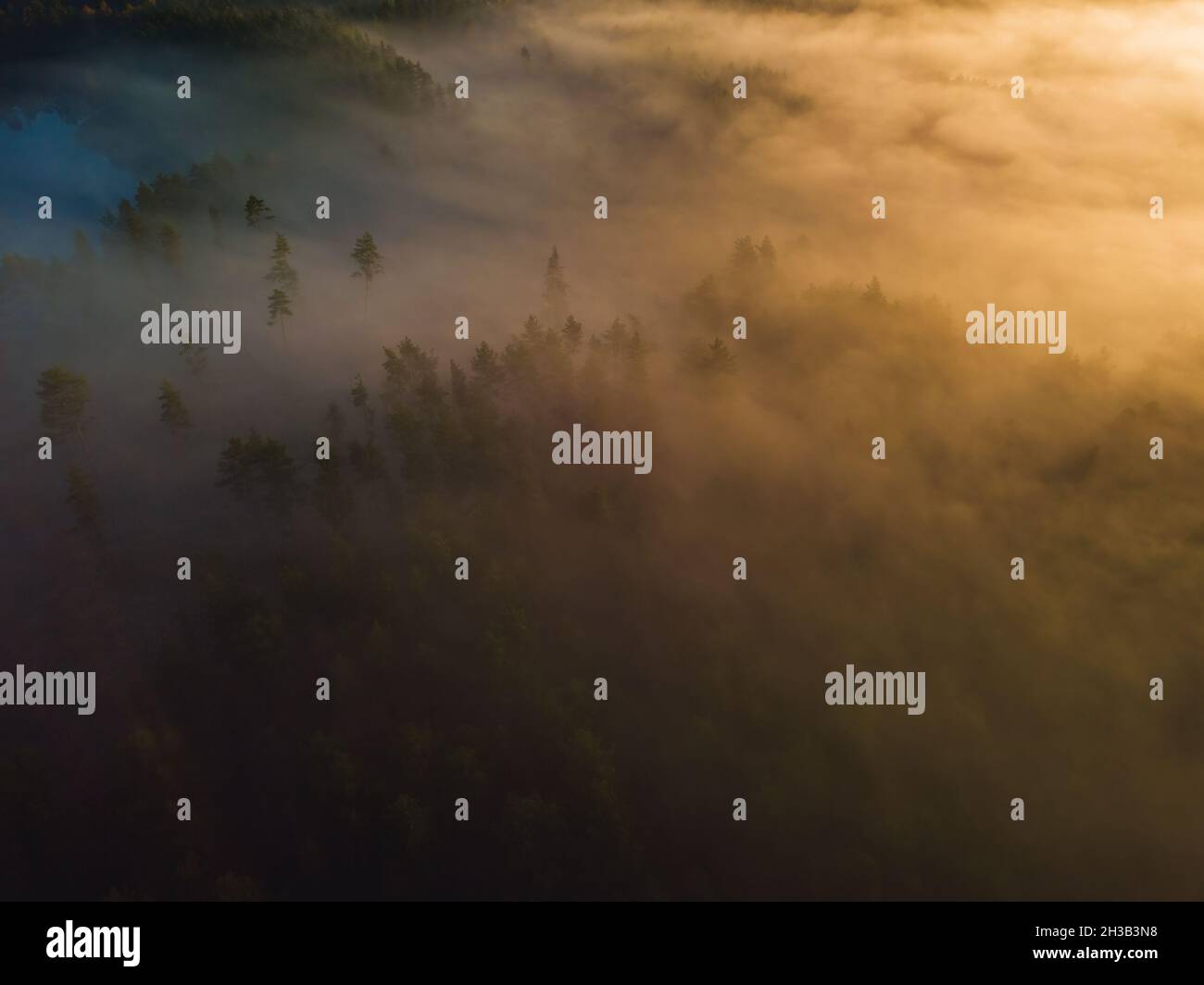 Field Light Rays Aerial view of epic light rays over the fields at Autumn Stock Photo ...