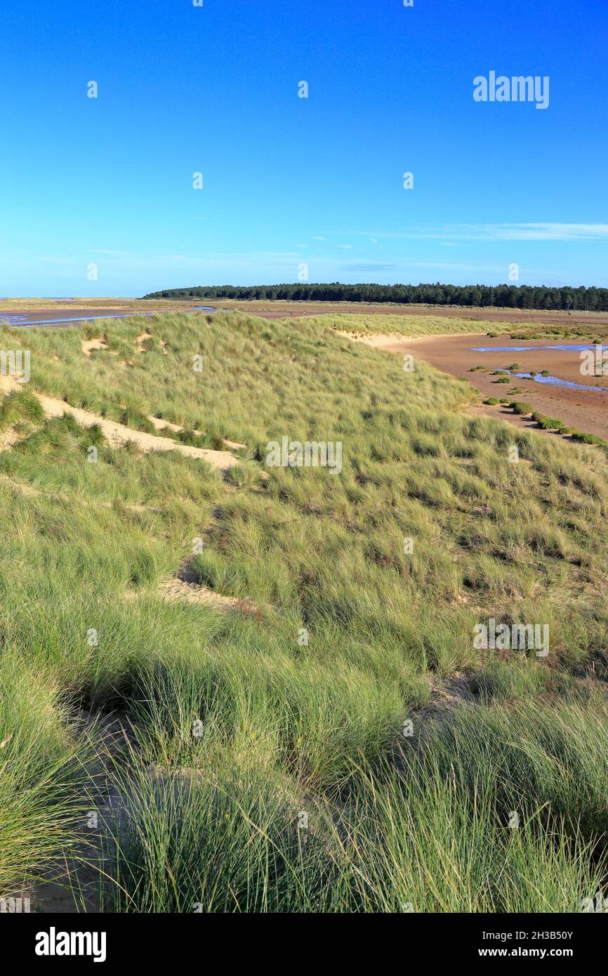 Sand dunes and salt marsh on Holkham beach at Holkham National Nature Reserve, Norfolk Coast Path, Holkham, Norfolk, England, UK. Stock Photo