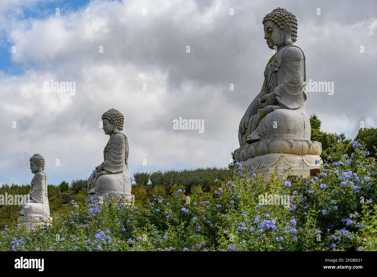 Ancient Buddha statues in a zen garden Stock Photo - Alamy