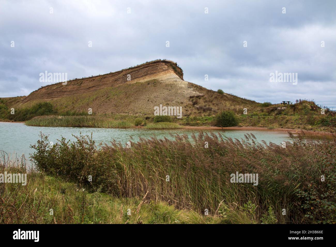 Cliff made of clay on the island Mors, Denmark Stock Photo