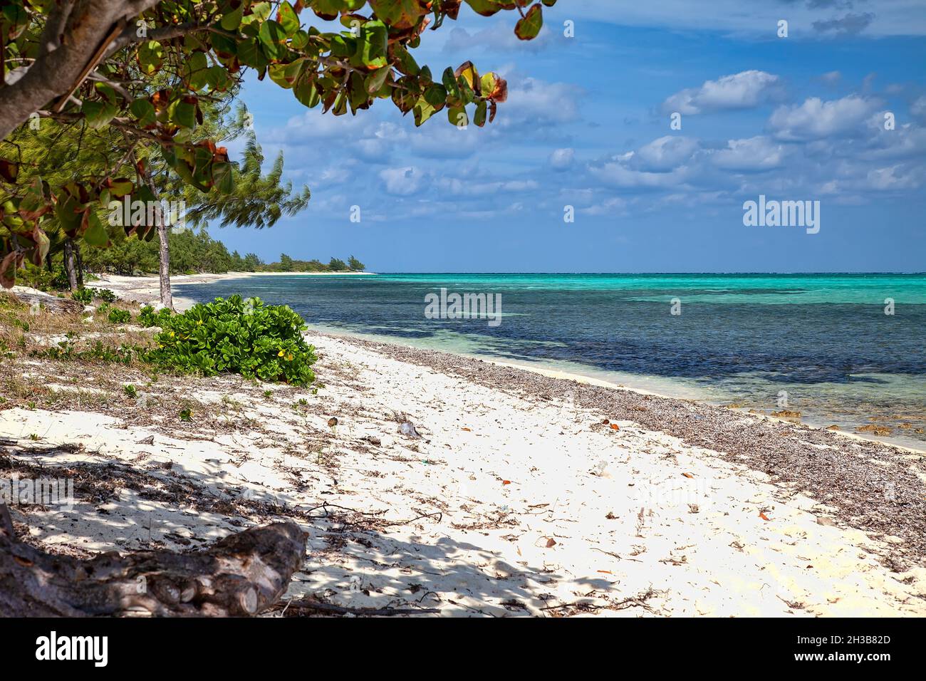 Caribbean Sea and the white sandy beaches in Grand Cayman, Cayman Islands. Stock Photo