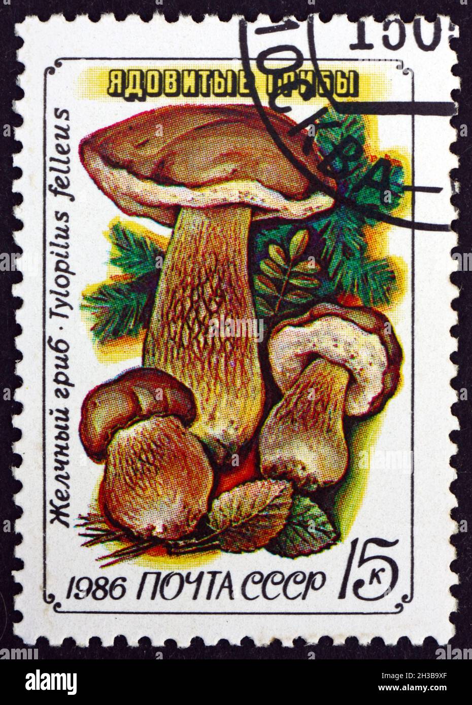 RUSSIA - CIRCA 1986: a stamp printed in Russia shows Bitter Bolete, Tylopilus Felleus, is a Fungus of the Bolete Family, circa 1986 Stock Photo