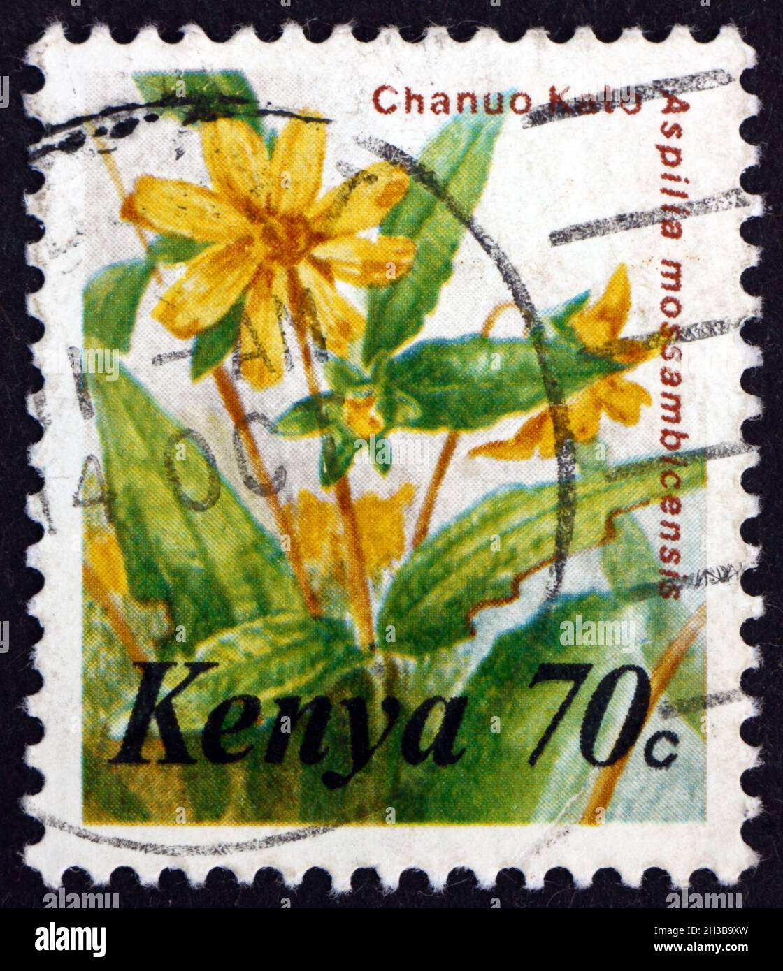KENYA - CIRCA 1983: a stamp printed in Kenya shows Aspilia Mossambicensis, Flowering Plant, circa 1983 Stock Photo