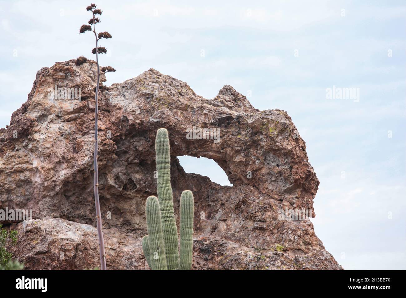 The Peralta Canyon Trail a great hike in the western Superstition