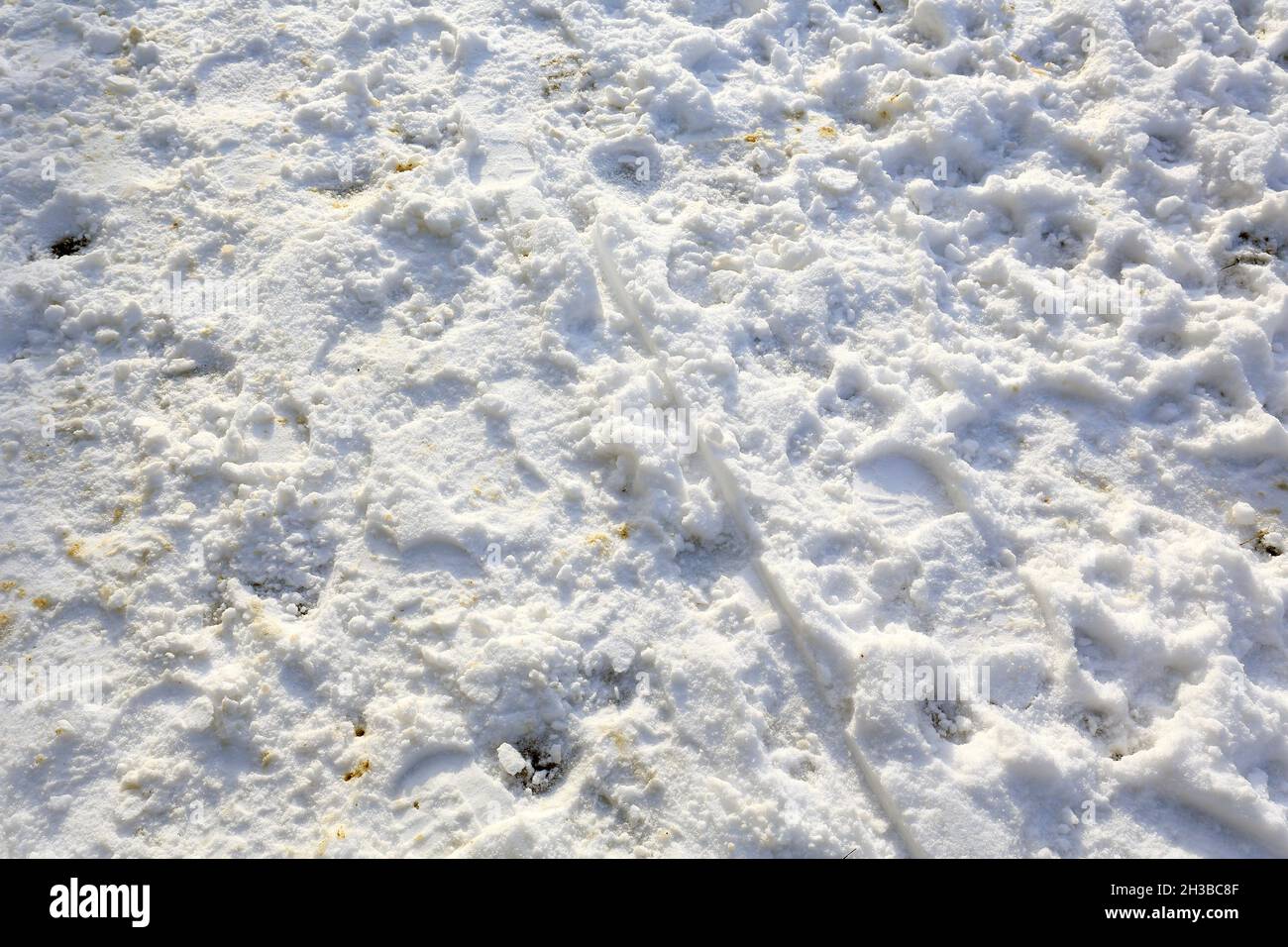 Snow covers the pavement, on which there are visible boot prints of many people who have passed this way before. Stock Photo