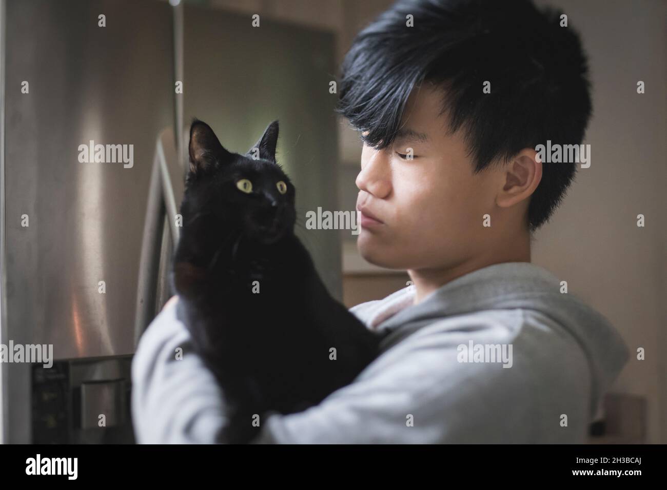 Asian teen boy in hoodie holds black cat Stock Photo