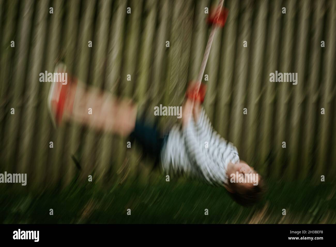 Blissful boy on backyard swing Stock Photo