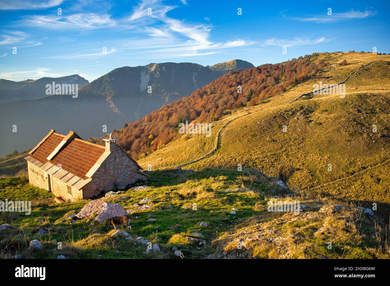 arcieri in natural landscape Verona 2. Eco-Archery: A Growing Trend
