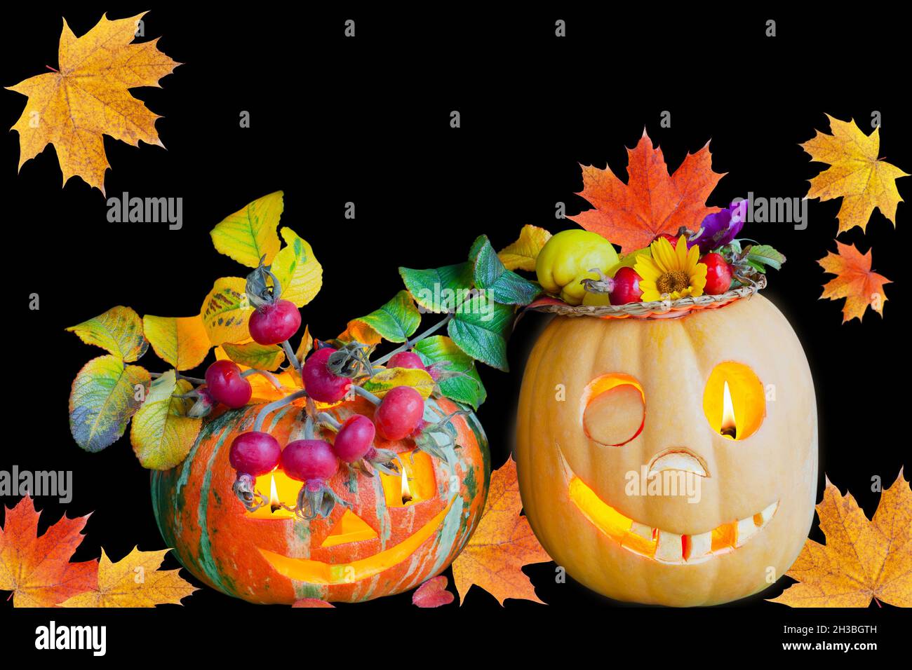 Funny Halloween pumpkins on a black background Stock Photo