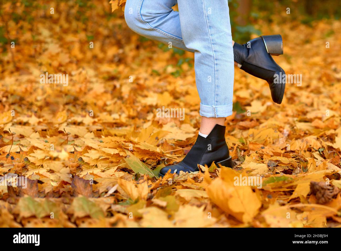 attractive slender female legs in jeans and boots stand in the fallen leaves. copy space. shallow depth of field Stock Photo