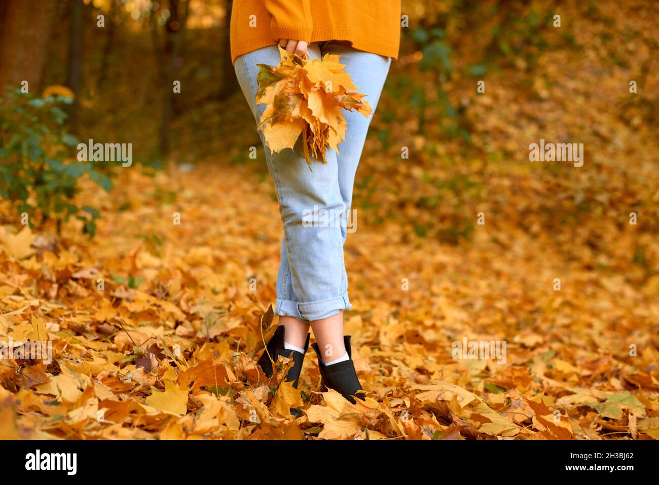 woman legs in jeans and boots stand in fallen leaves. copy space. shallow depth of field Stock Photo
