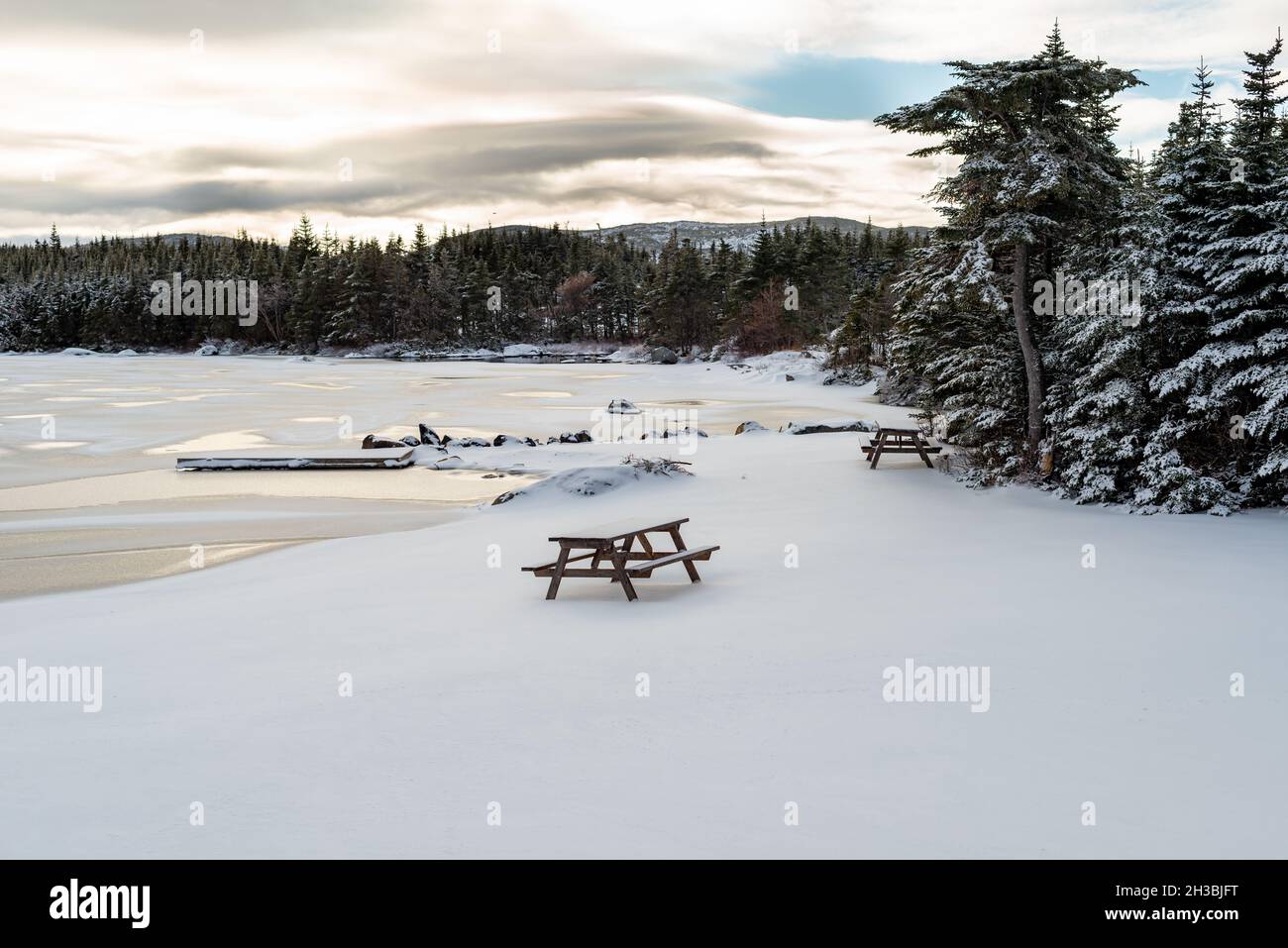 A  wooden picnic table sits alongside an ice covered lake. The edge of the pond is covered in fresh white snow. There are trees to the right Stock Photo