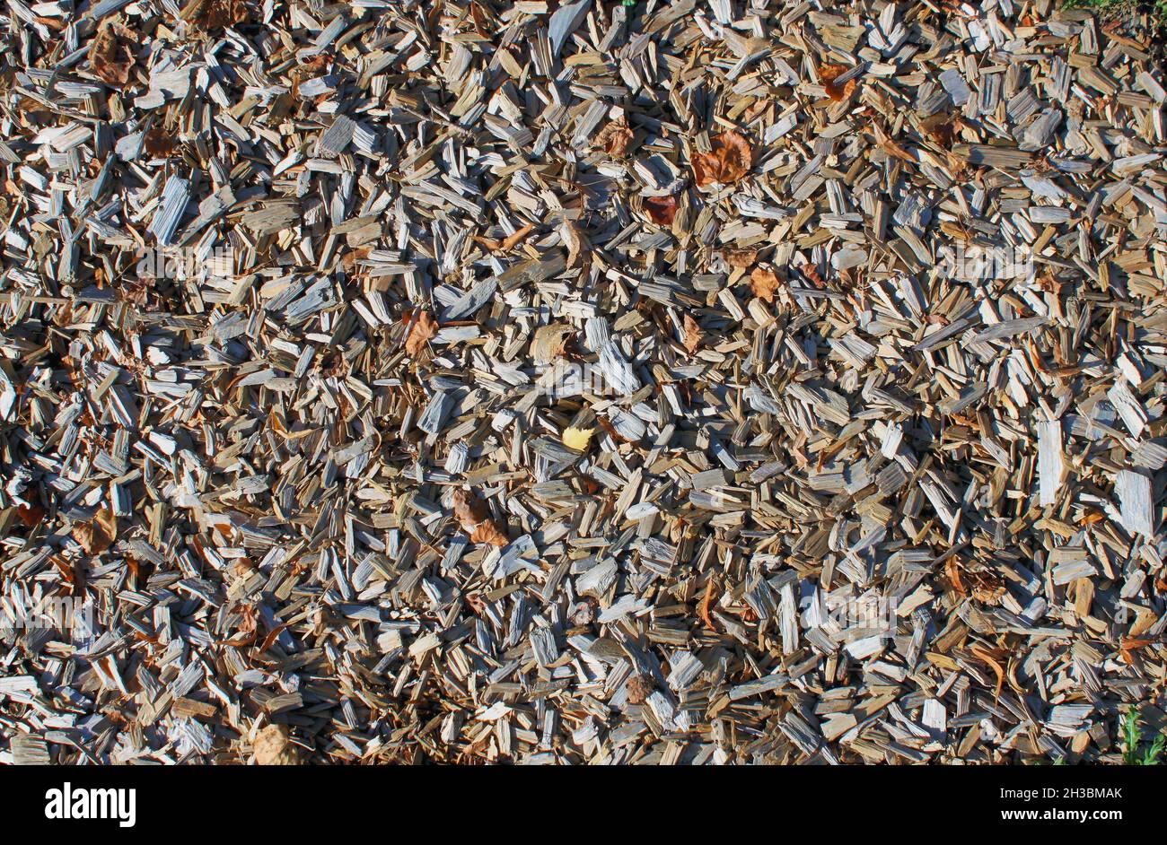 a pile of wood chips unsorted outside on a playground Stock Photo
