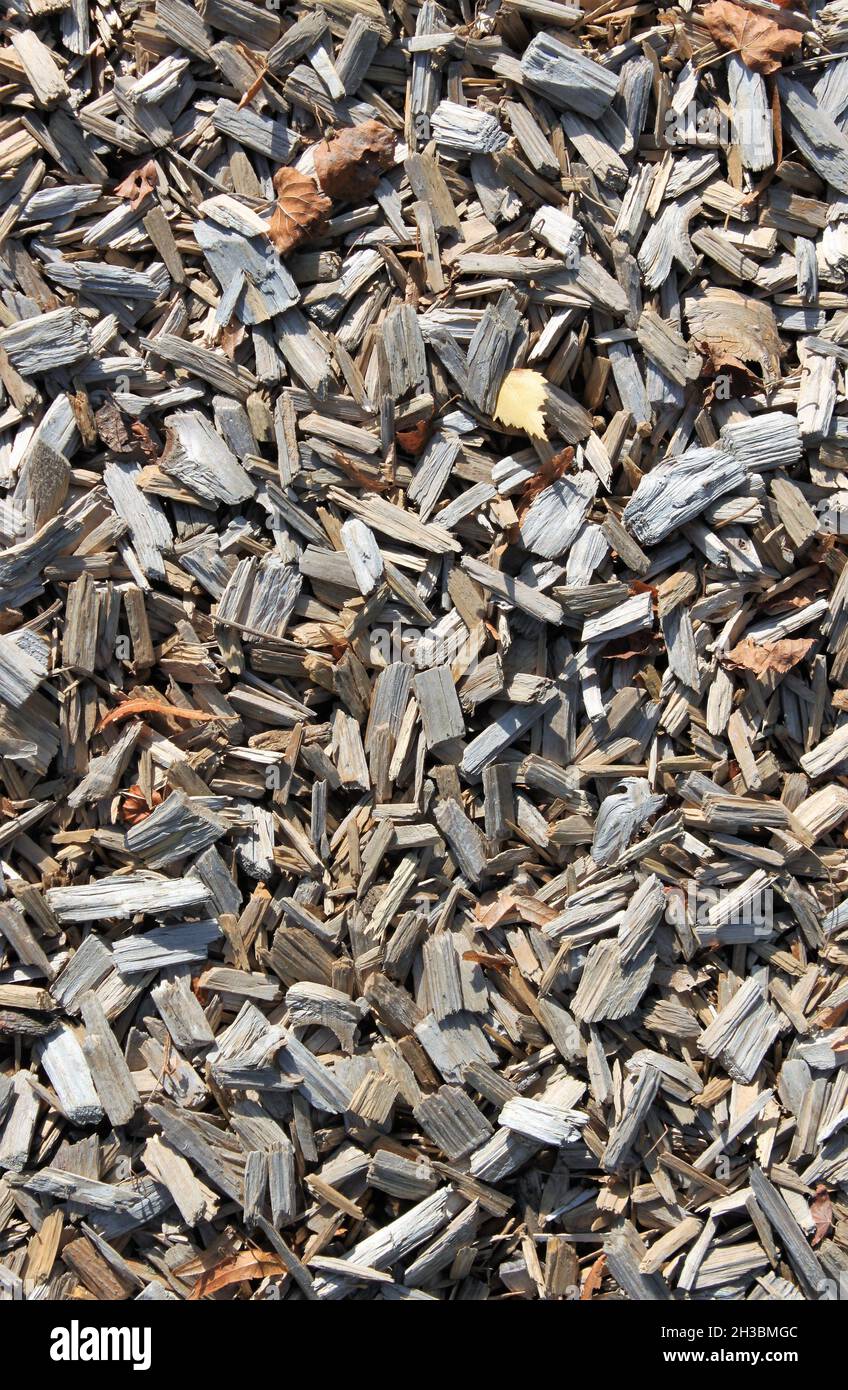 a pile of wood chips unsorted outside on a playground Stock Photo