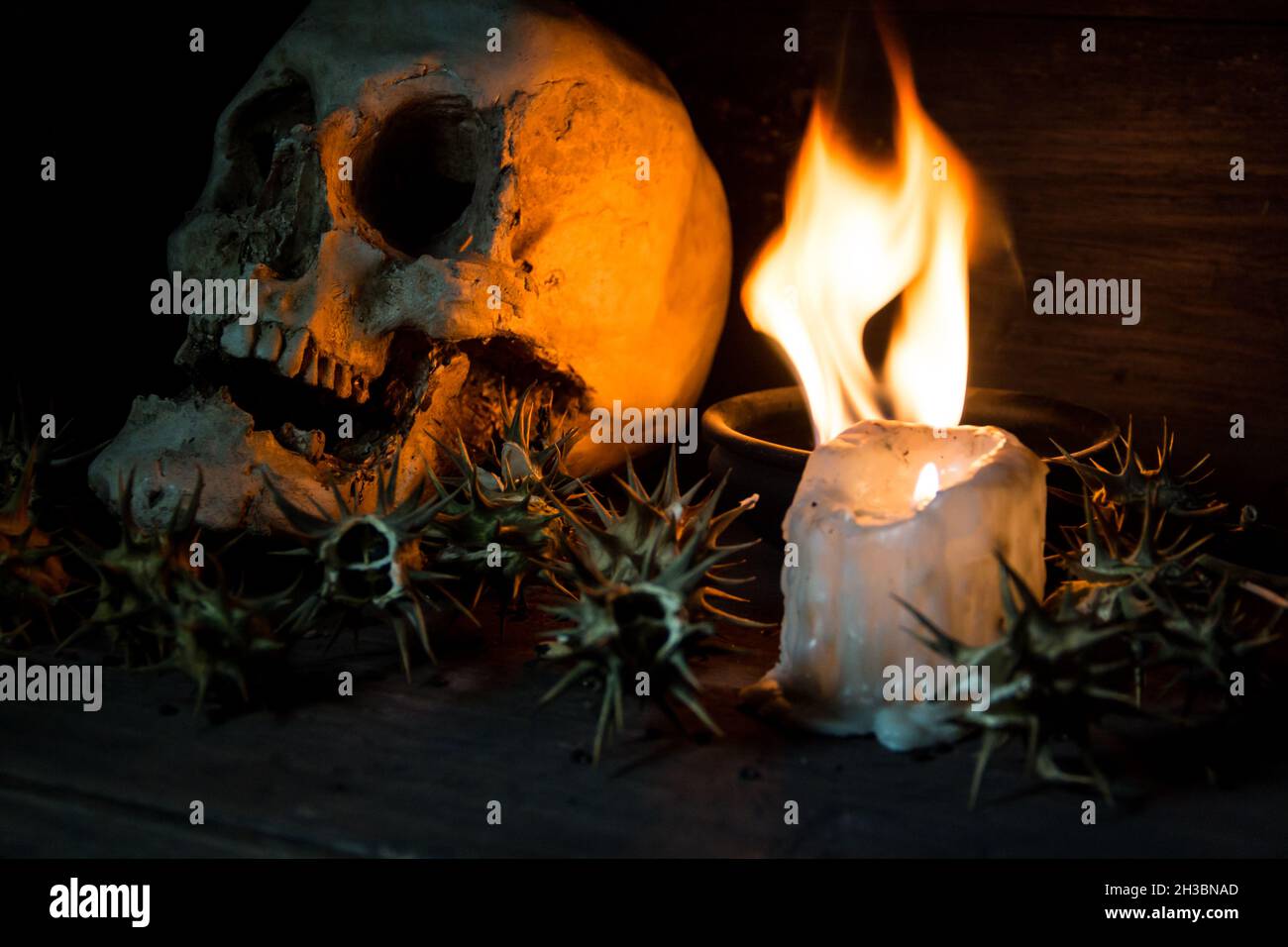 burundanga fruits and seeds with a human skull fire and smoke Stock Photo