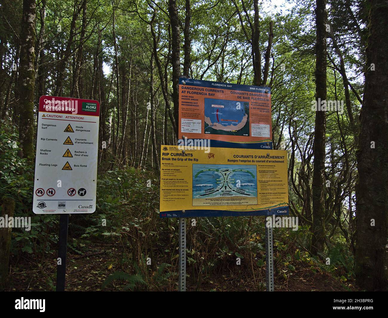 Information signs warning of dangerous rip currents on the beach of Florencia Bay, Vancouver Island in dense forest. Focus on signs. Stock Photo