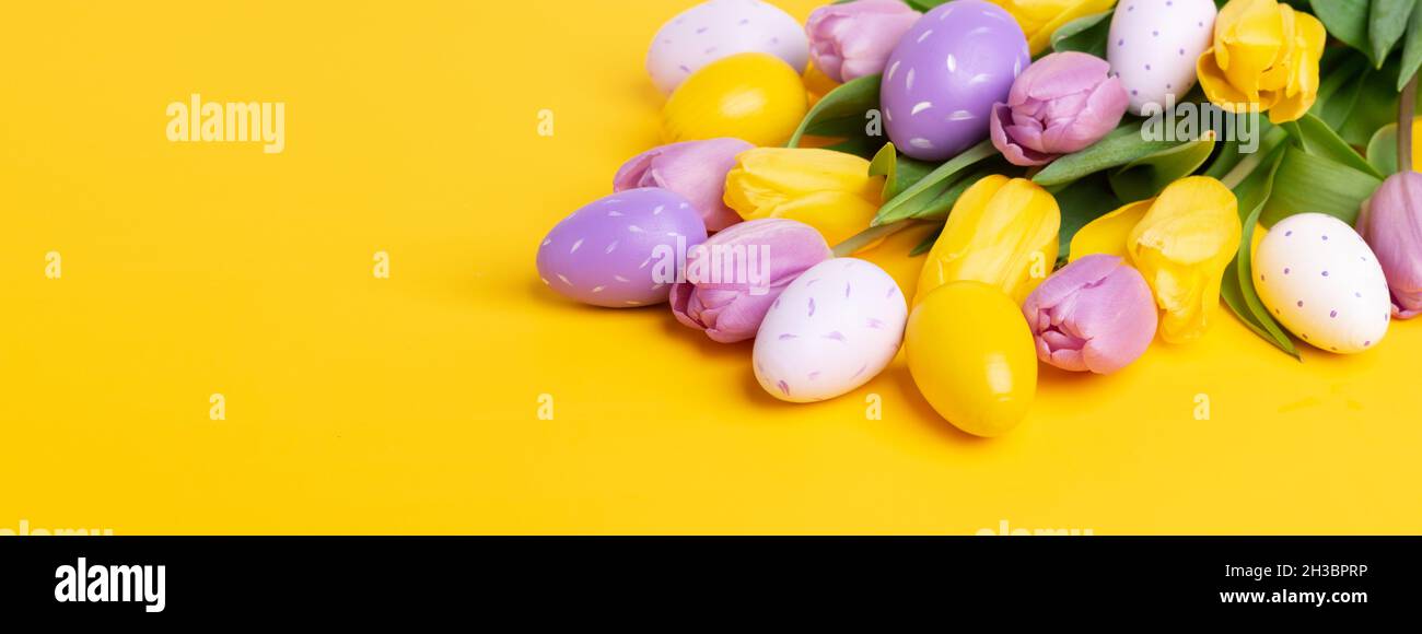 Easter composition. Multicolored easter eggs and tulips on yellow ...