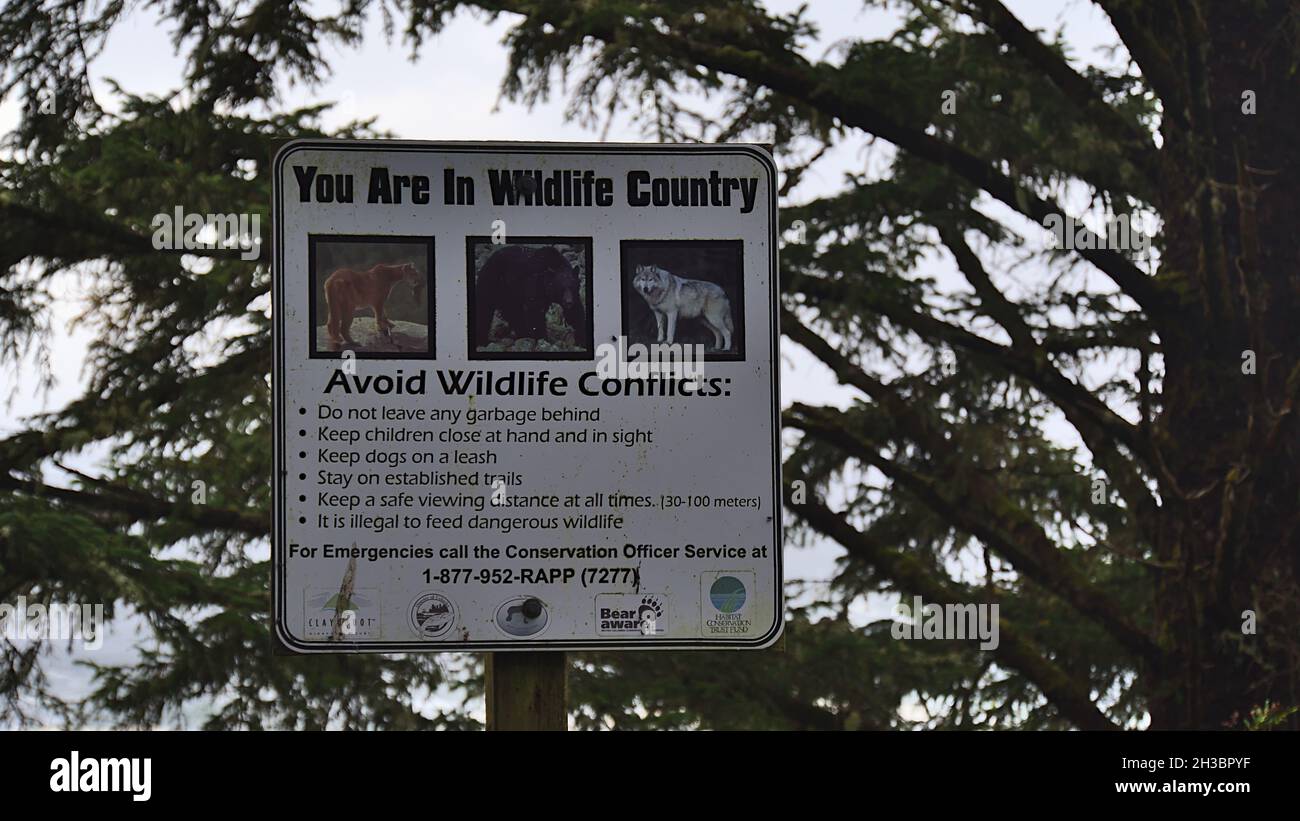 Information sign on Wild Pacific Trail in Ucluelet, Vancouver Island, informing about rules for the handling with wildlife. Focus on sign. Stock Photo