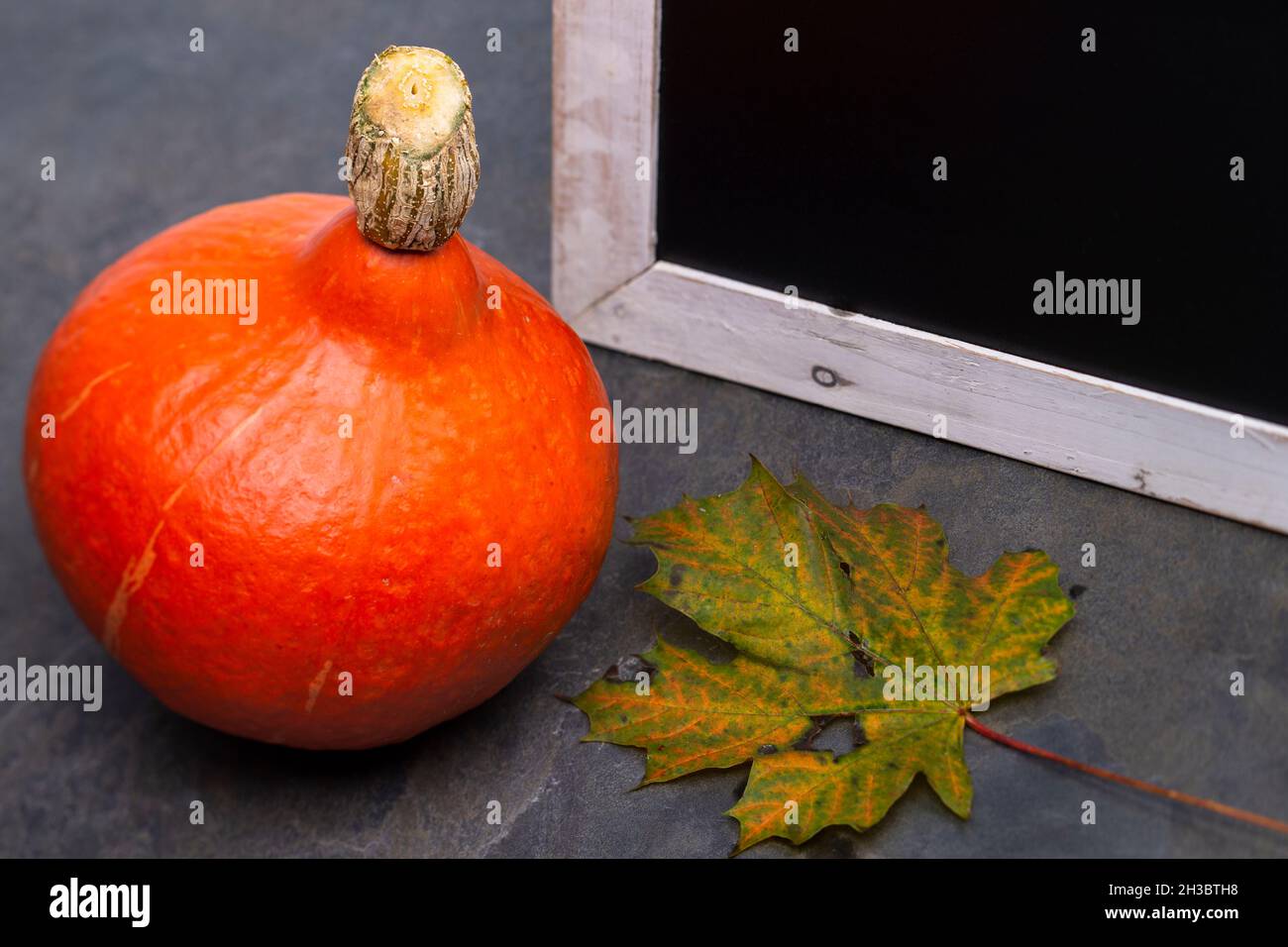 The photo shows an orange Hokkaido pumpkin with a leaf and a chalkboard with gray background Stock Photo