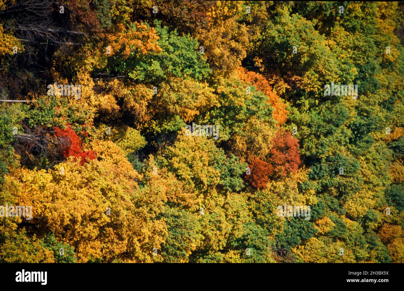 Bridview hi-res stock photography and images - Alamy