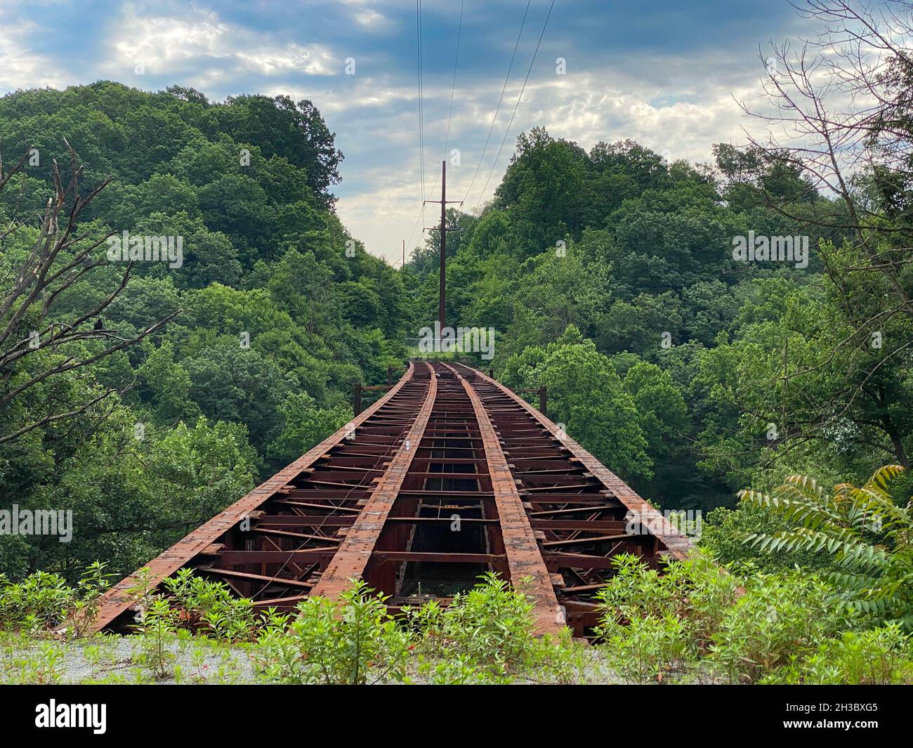 Enola Low Grade Trail Stock Photo - Alamy