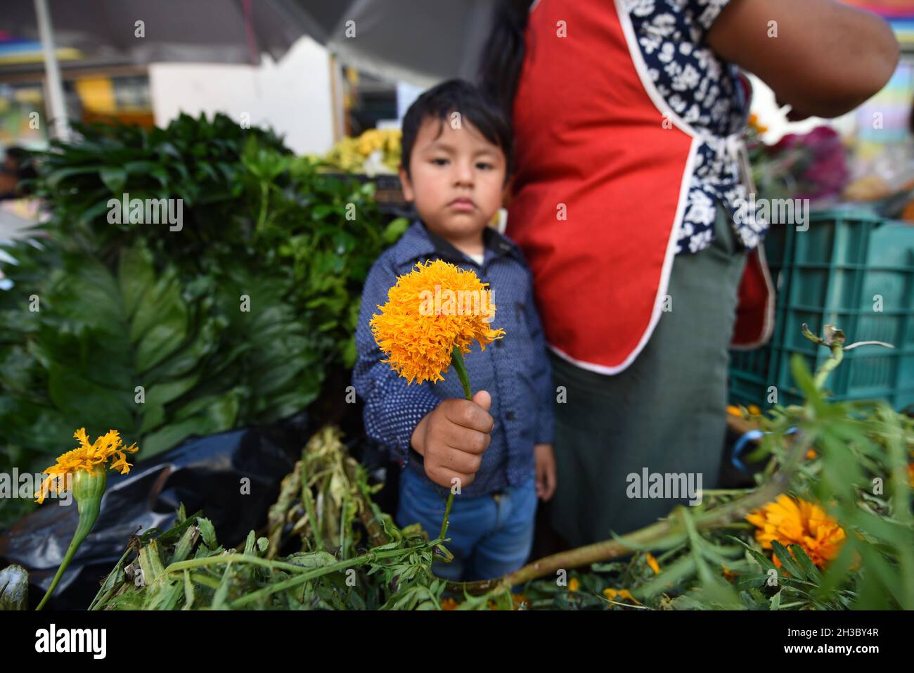 October 26, 2021 A child seller of flowers (Emilio, 4 years old) shows