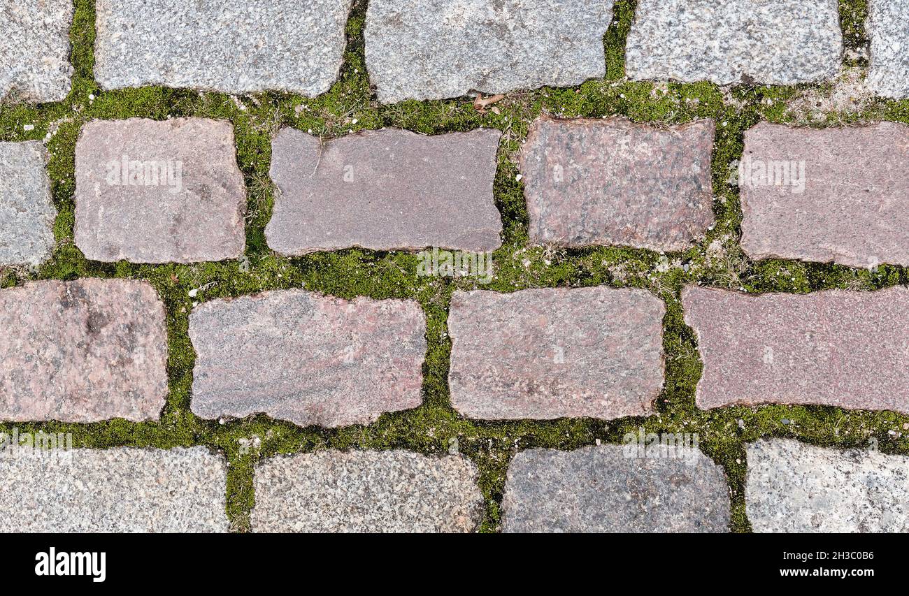 Granite pavement from rectangular shaped stones, overgrown with moss as background Stock Photo