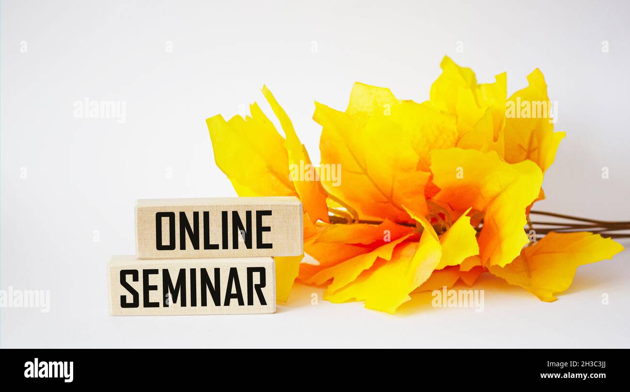 On a white background, wooden blocks with the text ONLINE SEMINAR near a yellow branch Stock Photo