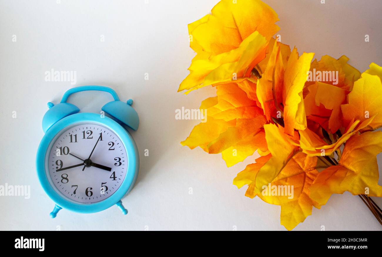 Retro blue alarm clock on a white background and autumn leaves Stock ...